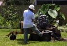 Maryvale QLDstump-grinding-services-1.jpg; ?>