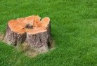 Maryvale QLDstump-grinding-services-2.jpg; ?>