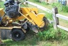 Maryvale QLDstump-grinding-services-3.jpg; ?>